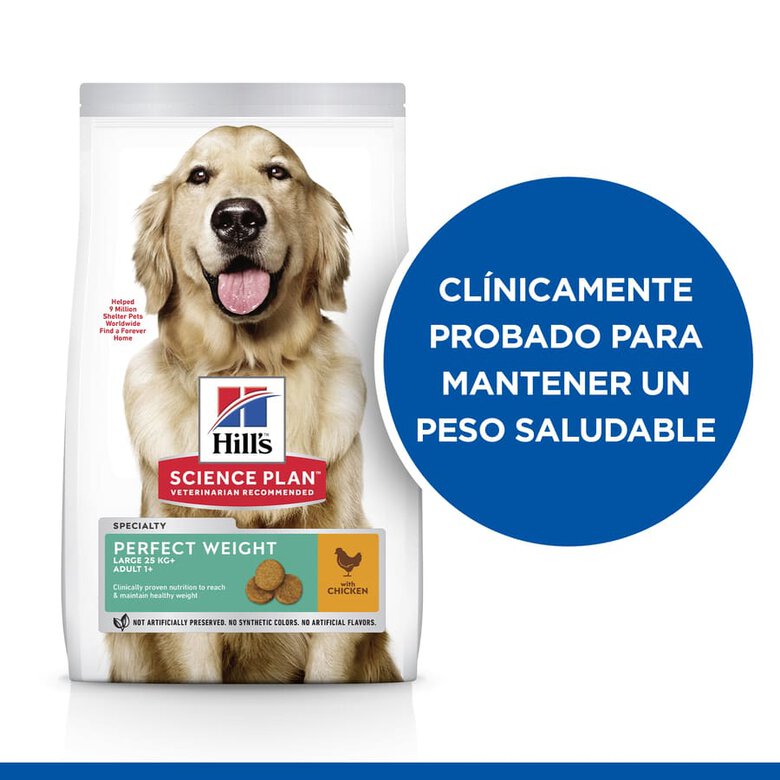 Hill's Science Plan Perfect Weight Adult Large Pollo pienso para perros, , large image number null